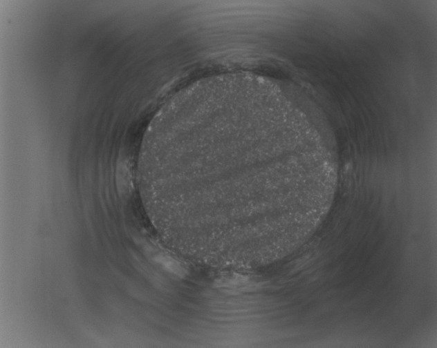 X0000080730772200701121909