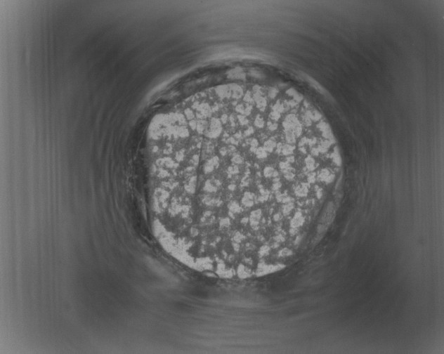 X0000080730775200701121909