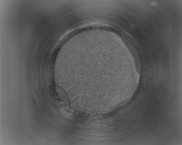 X0000080730776200701121909