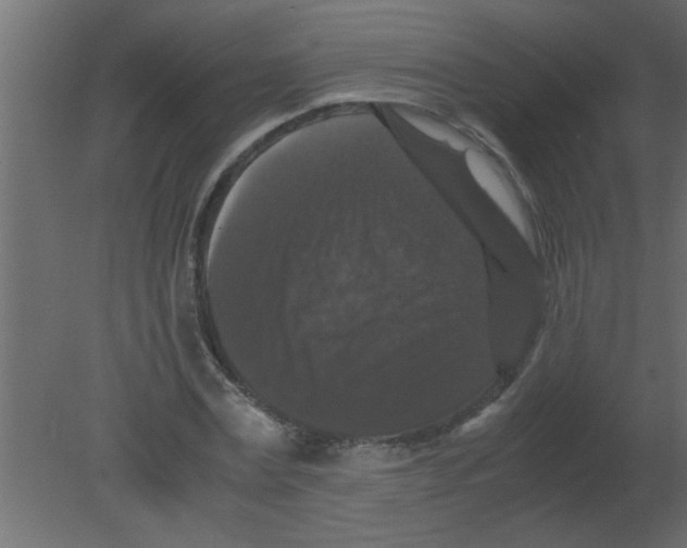 X0000080730779200701121909