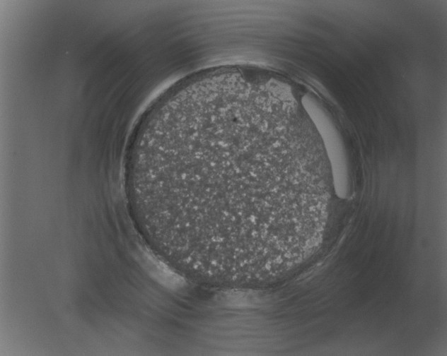 X0000080730780200701121909