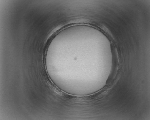 X0000080730781200701121909