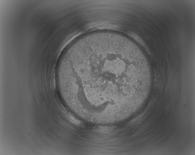 X0000080730782200701121909