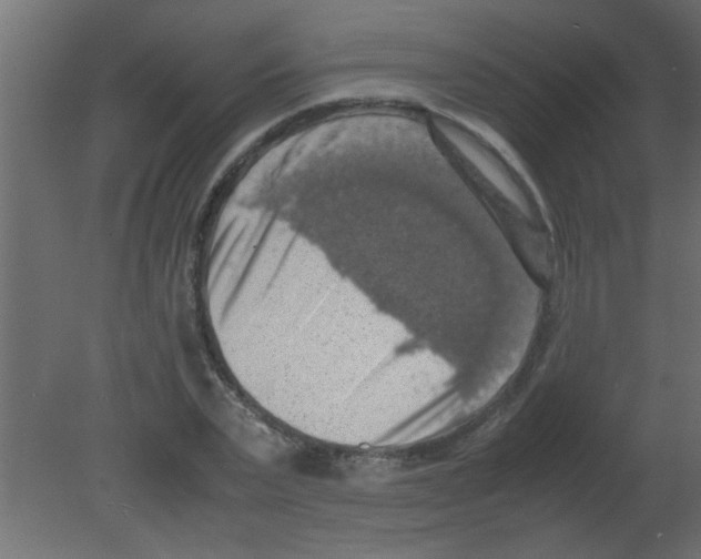 X0000080730783200701121909