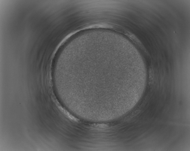 X0000080730784200701121909