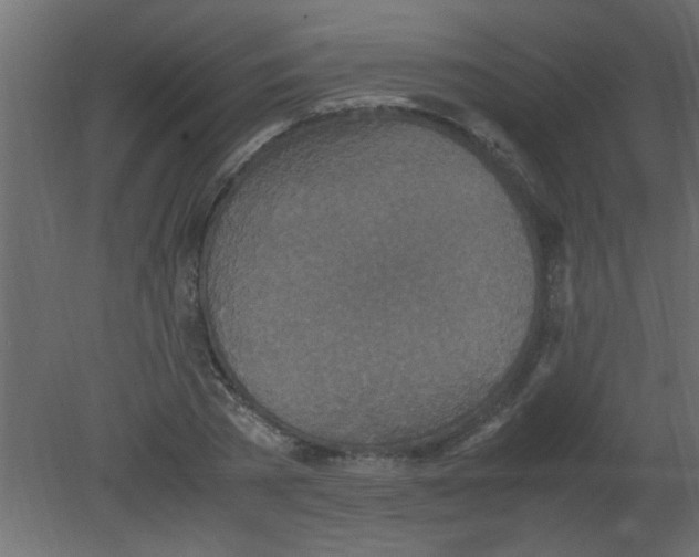 X0000080730785200701121909