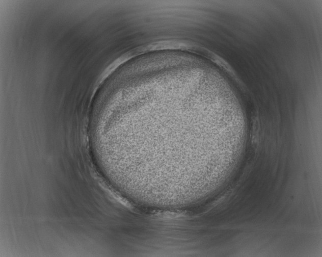 X0000080730786200701121909