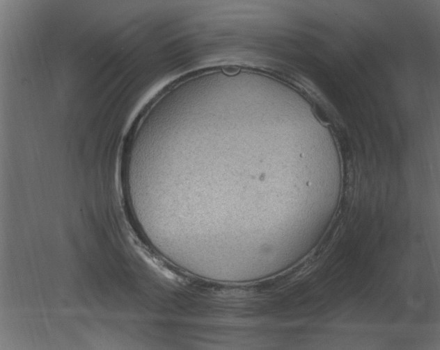 X0000080730788200701121909