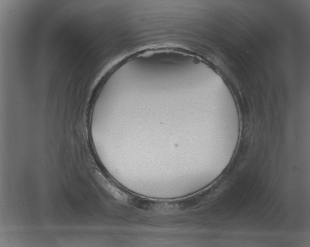 X0000080730789200701121909