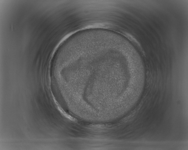 X0000080730792200701121909