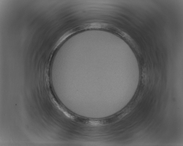 X0000080730794200701121909