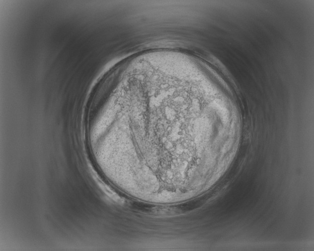 X0000080730795200701121909