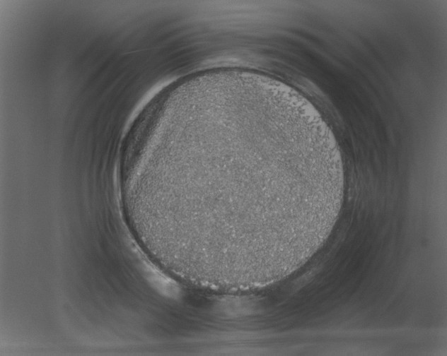 X0000080730796200701121909