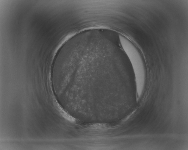 X0000080730797200701121909