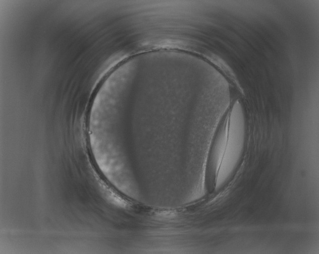 X0000080730798200701121909