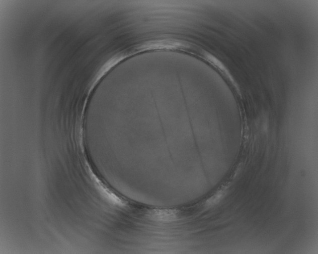 X0000080730802200701121909