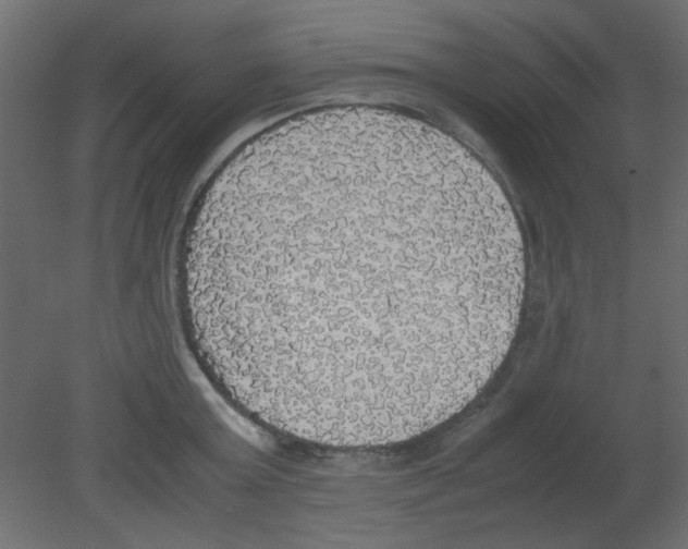 X0000080730803200701121909