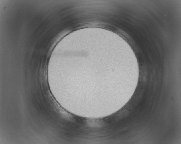 X0000080730804200701121909