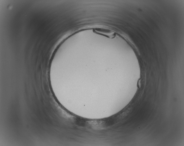 X0000080730805200701121909