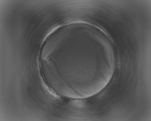 X0000080730806200701121909