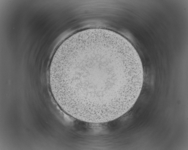 X0000080730807200701121909