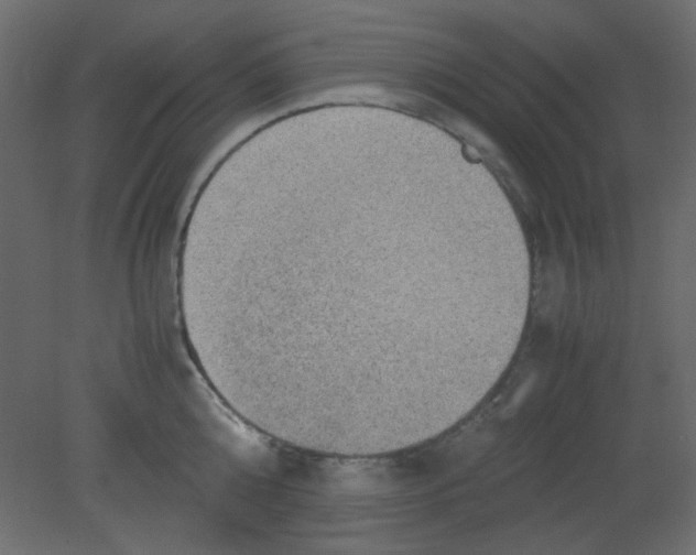 X0000080730808200701121909