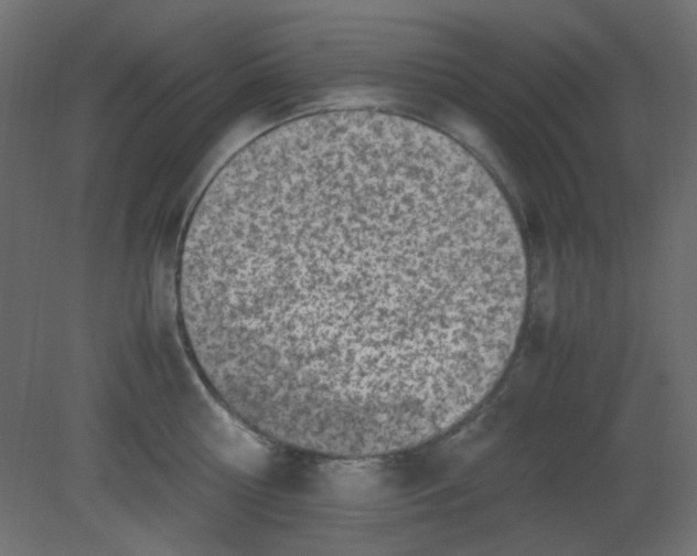 X0000080730810200701121909