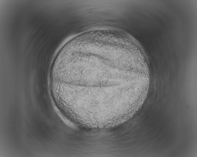 X0000080730811200701121909