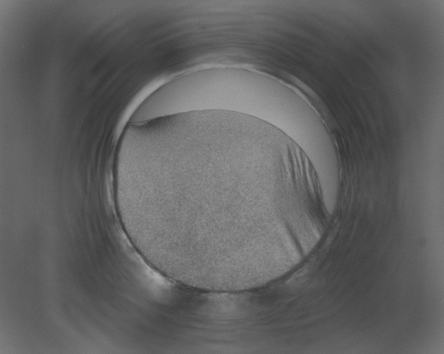 X0000080730812200701121909