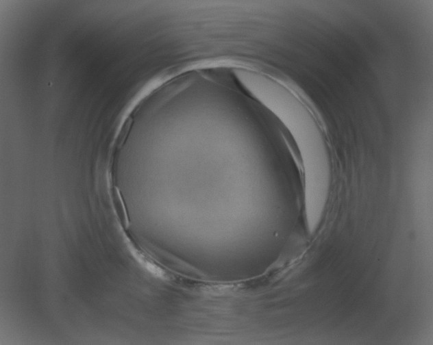 X0000080730813200701121909