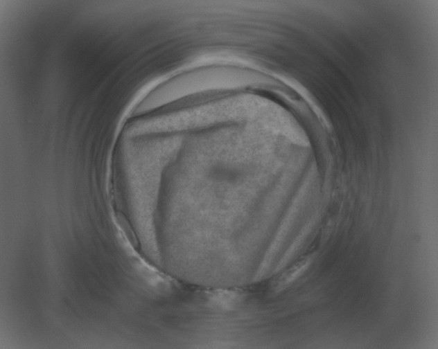 X0000080730815200701121909