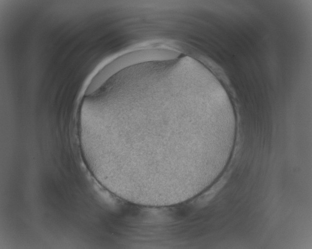 X0000080730816200701121909