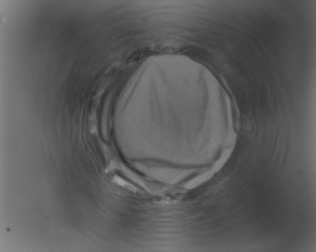 X0000080730818200701121908