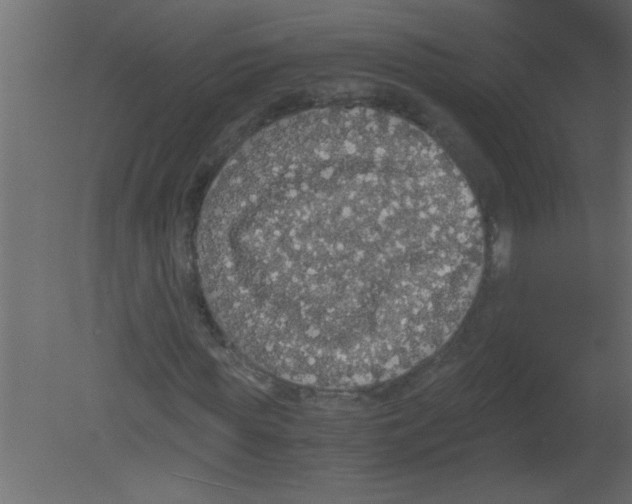 X0000080730819200701121908