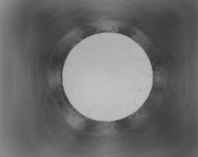 X0000080730820200701121908