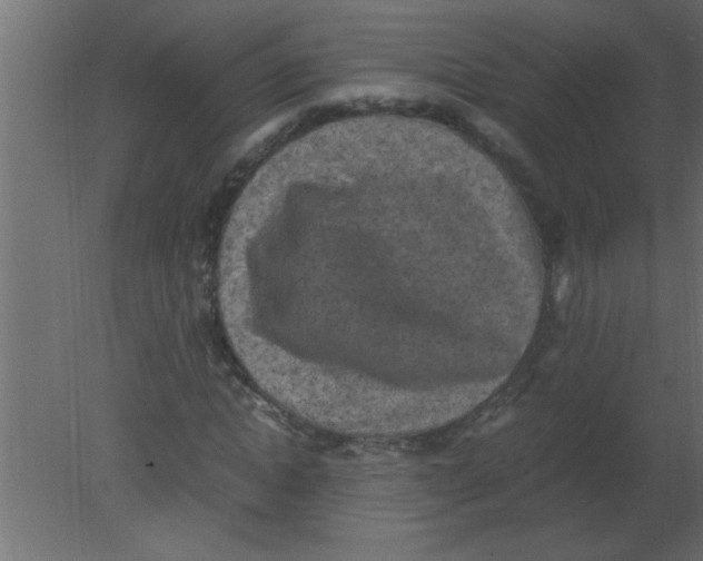 X0000080730822200701121908