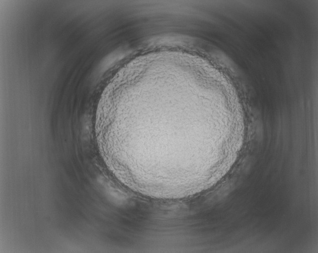 X0000080730824200701121908