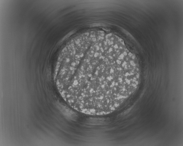 X0000080730825200701121908