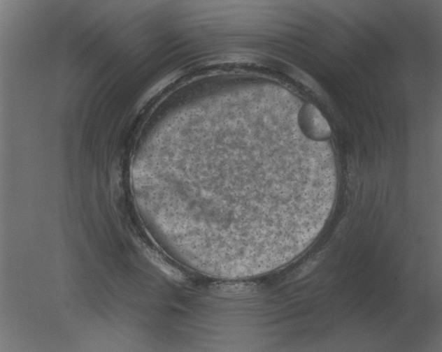 X0000080730826200701121908