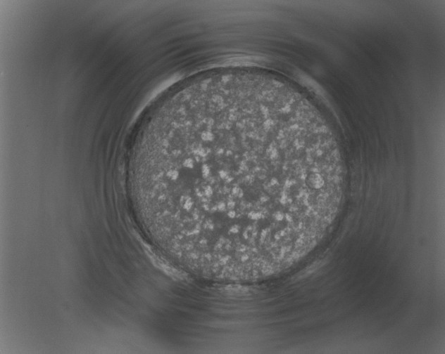 X0000080730827200701121908