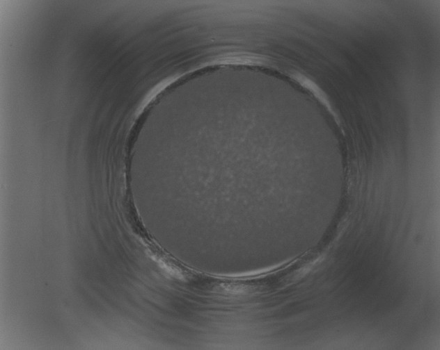 X0000080730829200701121908