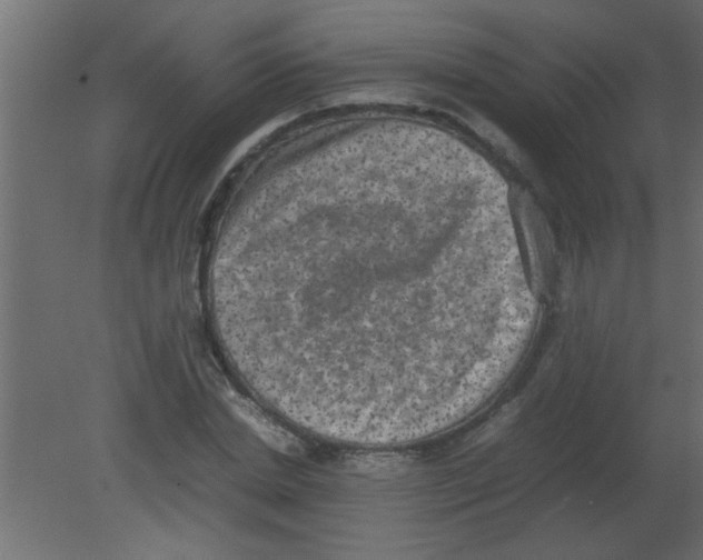 X0000080730830200701121908