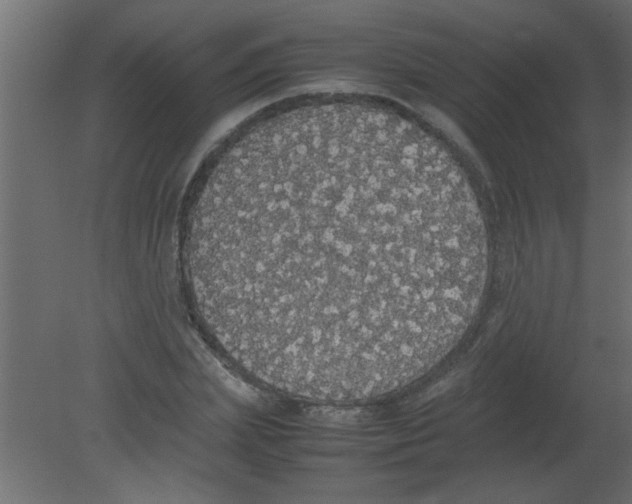 X0000080730831200701121908