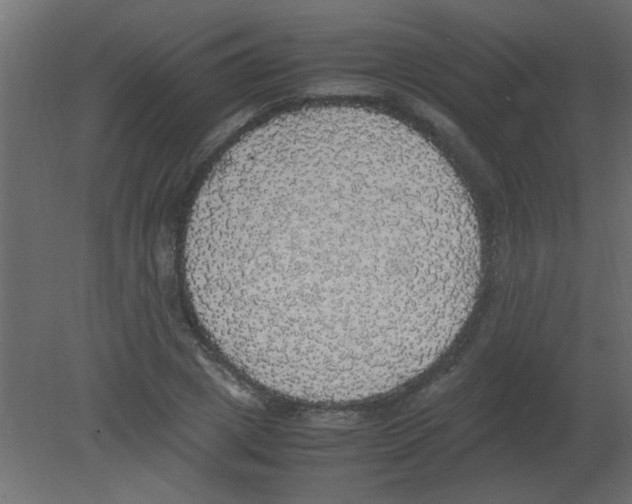 X0000080730833200701121908