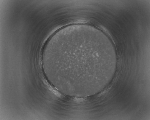 X0000080730835200701121908