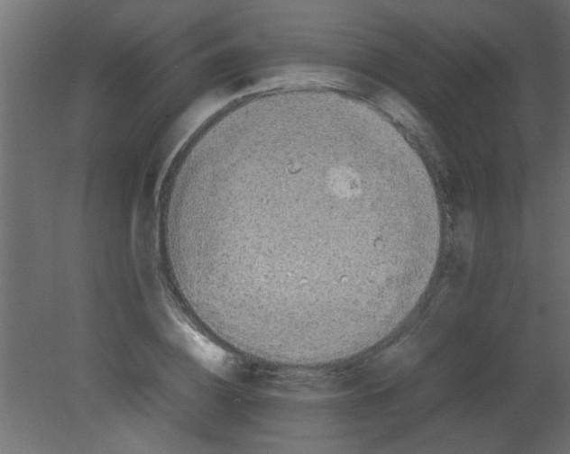 X0000080730836200701121908