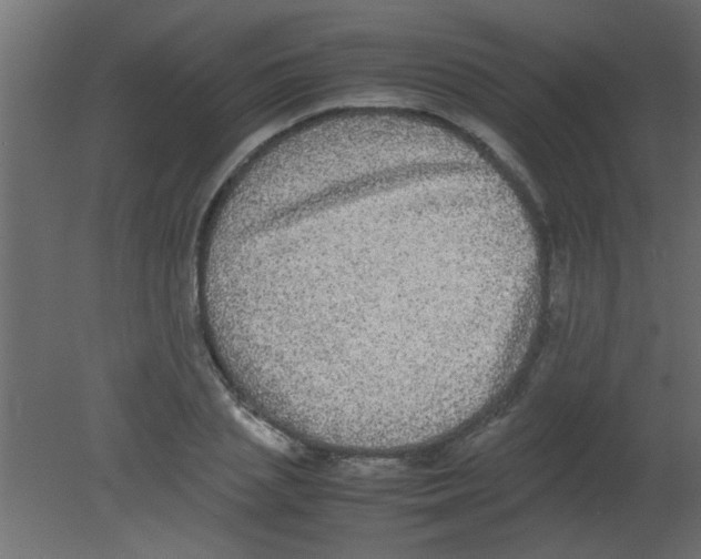 X0000080730837200701121908