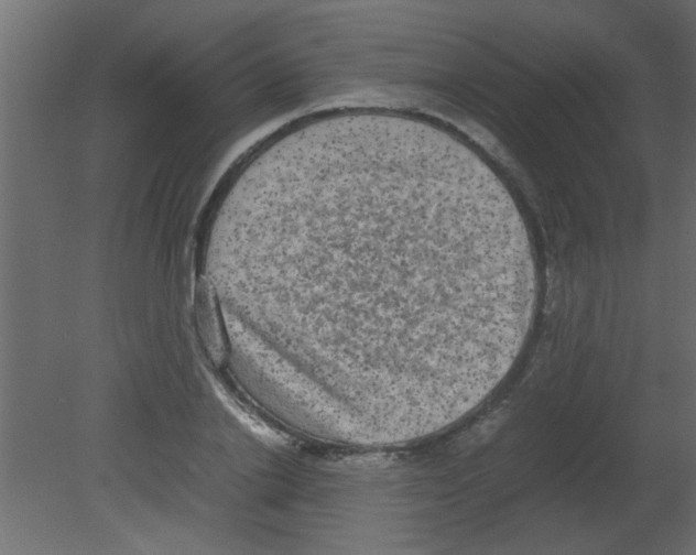 X0000080730838200701121908