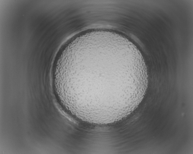 X0000080730840200701121908