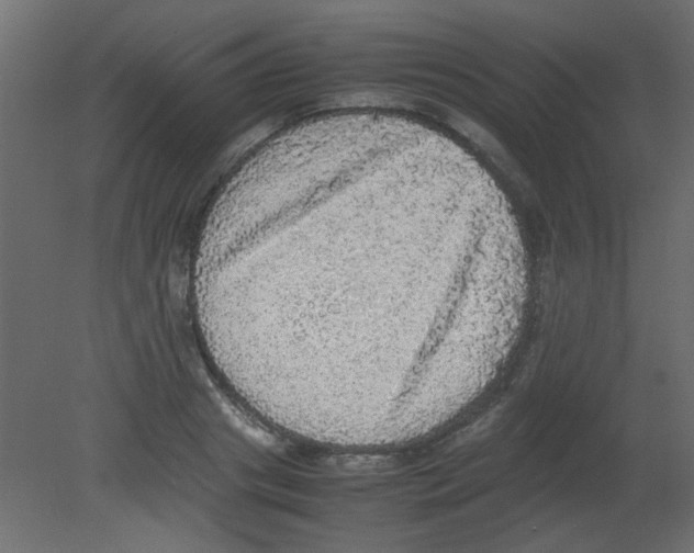 X0000080730841200701121908